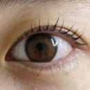 오늘더예뻐 이미지