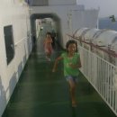 제주남도 이미지