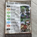 미리내 염소농장 | 건강한 기운이 넘치는 미리재농장표 두릅에서 봄 기운을 맛보다