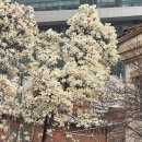 소로3-39 | 남영역] 남영역 청첩장모임 추천코스 ‘빈스미스커피로스터스’ + ‘다이빙룸’ 후기🤍 (위치, 메뉴, 가격)