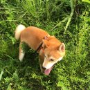 행복드림 동물병원 이미지