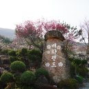 매화랜드 앞 이미지