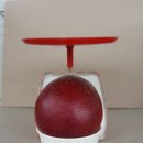 신선농장 이미지