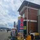 하동횟집 | 하동 노량 맛집 새부산횟집, 시원한 물회 맛집 후기