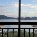 까치와 산토리나 이미지