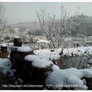 시골 농장 이미지