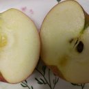 송암농원 이미지