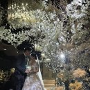 대주축사 | W28. 영등포 더컨벤션 다이너스티홀 본식 후기(+결혼준비 파일 공유_축의대 주의할 점, 본식 사회자 대본)