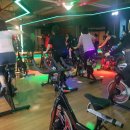 스타 바디핏 이미지