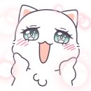 알라모드 이미지
