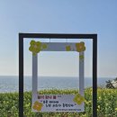 푸른바다 리조트(주) 이미지