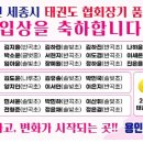 용인대 성민 태권도(반곡관) 이미지