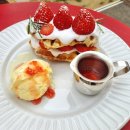 거북로 | 의정부 애견동반 테라스 카페 추천, 디저트 맛집 <하우두유두> 방문 후기