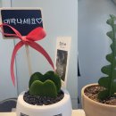 오쏘헤어&컬러앤하우스 청라점