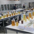 전통주및발효식초 이미지