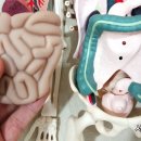 서현기린한의원 이미지