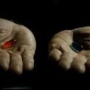 오렌지유치원 이미지