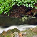 학가산우래자연휴양림 이미지