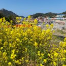 봉글레산 이미지