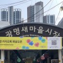진이네전집