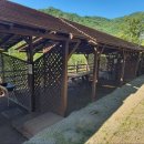 송정자연휴양림 이미지