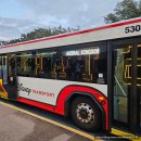 애니멀킹덤 | ☆미국여행-7☆ 올랜도 디즈니월드_애니멀킹덤(ft. 얼리입장, 사파리, 라이언킹 뮤지컬, 아바타 후기...