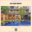 호텔 모모 | 치앙마이 여행, 머물기 좋은 추천 호텔: 모모 호텔 치앙마이 후기