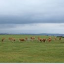 여운목장 이미지