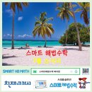 스마트해법수학 티스토리