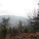 흑암농장 이미지