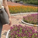 동천약국~ 천주교 시기성당 3거리 | [대구여행] 대구여행코스 추천 :: 뚜벅이 당일치기