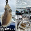 (사)선유도관광진흥회 | 군산 비응항 갑오징어 낚시 숙소 이성당 빵 쇼핑 후기