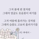 핑크스토리 - 진천군 중앙동6길 20 | 핑크스토리
