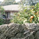 송종선가옥 이미지