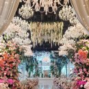 (주) 소망소프트 | 여의도 더파티움 파티움홀 _ 25년 11월 식 계약 후기