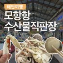 일산해수욕장8(수산물판매센터근처) | 태안여행 회센터 수산시장 꽃게 조개 가격 모항항 수산물직판장 승철수산