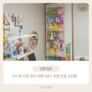 차지킴이 | 아이방 인형 정리 인형지킴이 투명 인형 보관함 후기