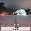 설경 | 창경궁 야간개장 눈 내린 야경 설경 산책 후기