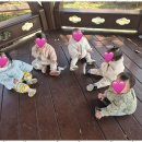 꿈의어린이집 이미지