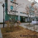 수지도서관 이미지