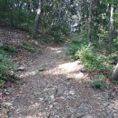 문수산 산림욕장 이미지