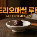 리오드 - 양주시 | 드리오매실 2주 내돈내산 후기 | 똥매실 루틴으로 가벼워지는 법
