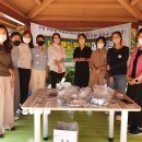 불로초등학교 이미지