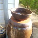 흙사랑 다육식물농원 이미지