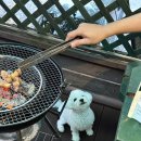 별아래 펜션 | 밀양 계곡 근처 애견동반 숙소 별아래펜션 후기