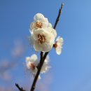 신진식품 이미지