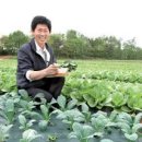 천지원 농장 이미지