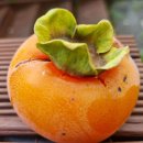 감나무집.홍시 이미지