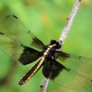 두마농장 이미지