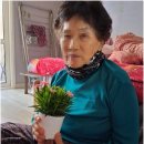 어르신이편안한재가요양센터 네이버블로그